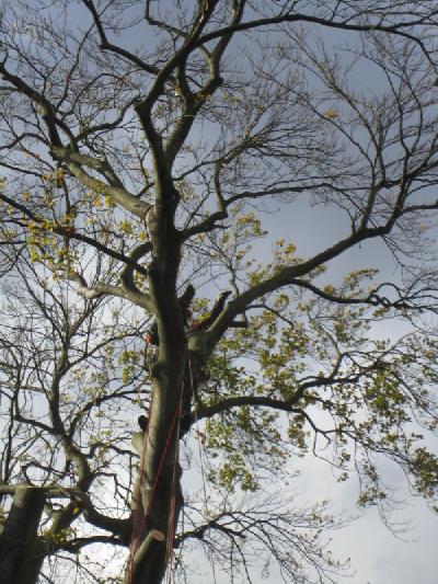 Das Bild IMG_1162.JPG vergrössern