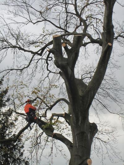 Das Bild IMG_1169.JPG vergrössern