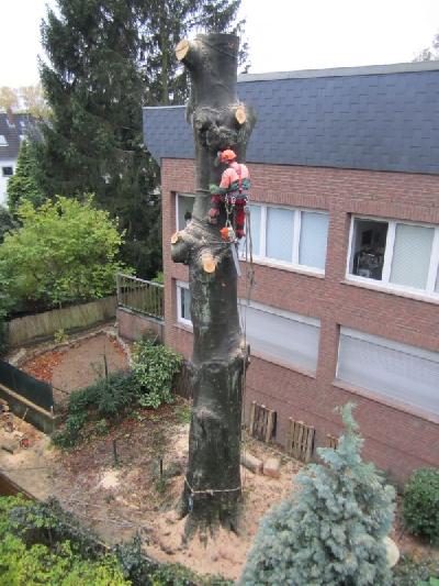 Das Bild IMG_1181.JPG vergrössern
