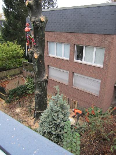 Das Bild IMG_1183.JPG vergrössern