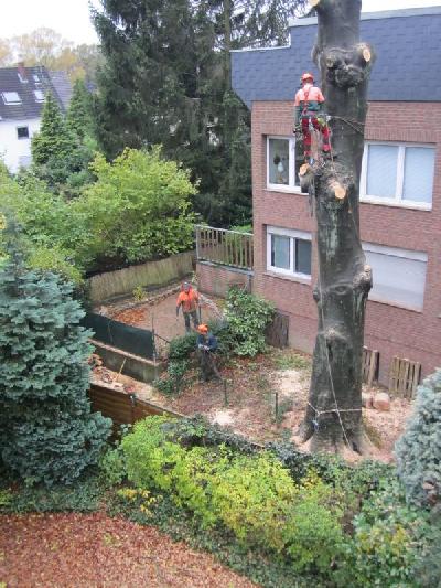 Das Bild IMG_1184.JPG vergrössern