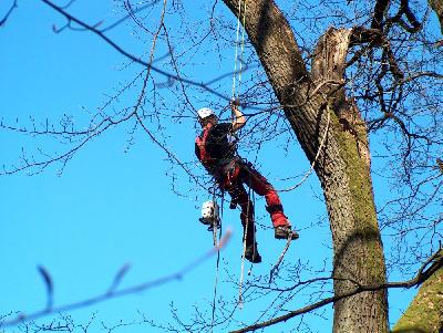 Das Bild HPIM2891.JPG vergrössern