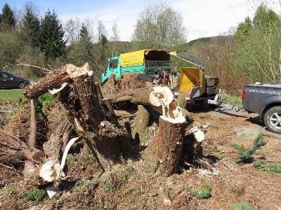 Das Bild IMG_0145.JPG vergrössern