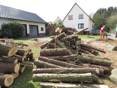 Das Bild IMG_0150.JPG vergrössern