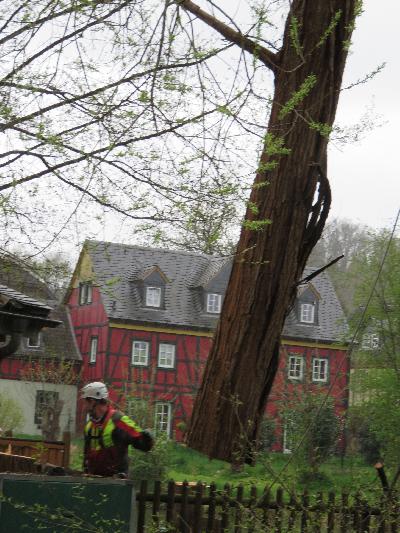 Das Bild IMG_0390.JPG vergrössern